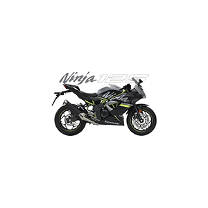 Kawasaki Ninja UV DTF Sticker – UVDTF140