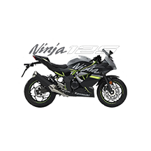 Kawasaki Ninja UV DTF Sticker - UVDTF140