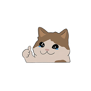 Crying Cat UV DTF Sticker – UVDTF276