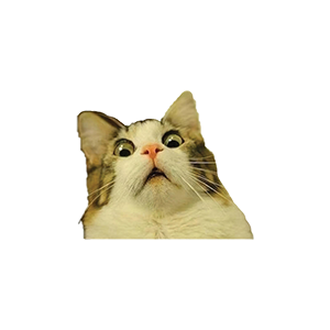 Cat UV DTF Sticker – UVDTF828